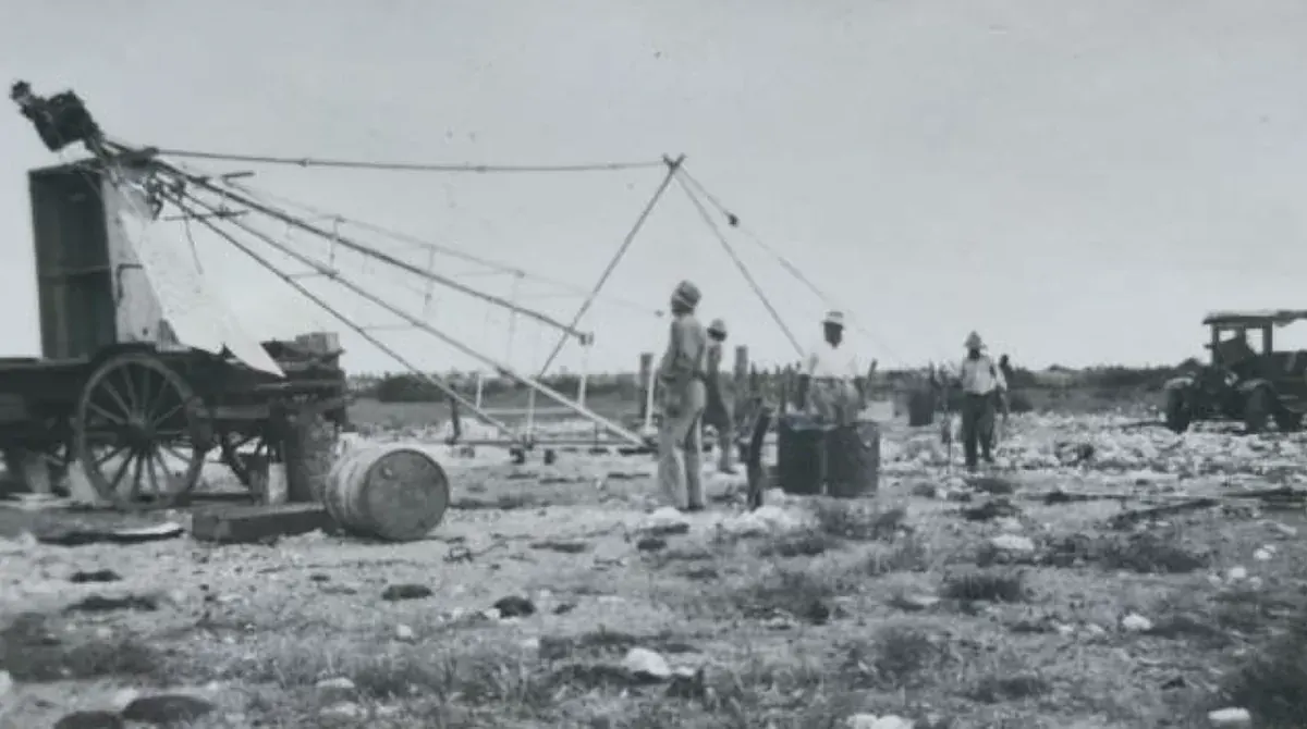 Windmill and ox wagon